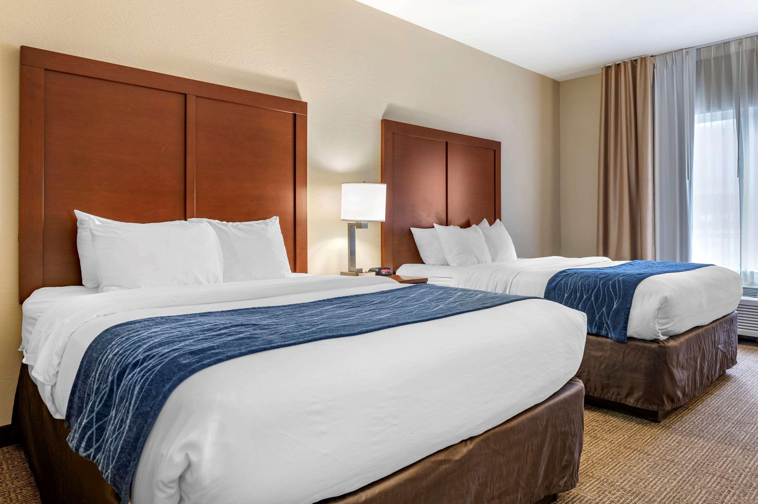 Comfort Inn & Suites Northern Kentucky Wilder Εξωτερικό φωτογραφία